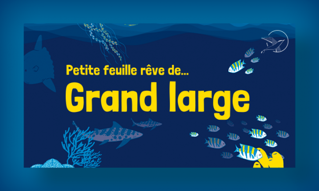 Ouverture Petite feuille rêve de... Grand large