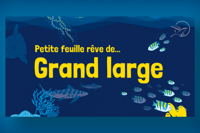 Ouverture Petite feuille rêve de... Grand large