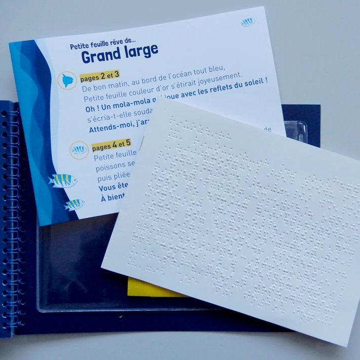 photo des carnets braille et grand caractère