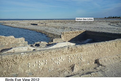 graf en braille The blind