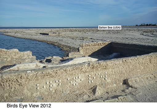 graf en braille The blind