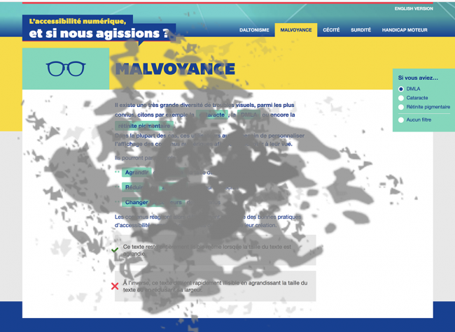 simulation d'une déficience visuelle la DMLA
