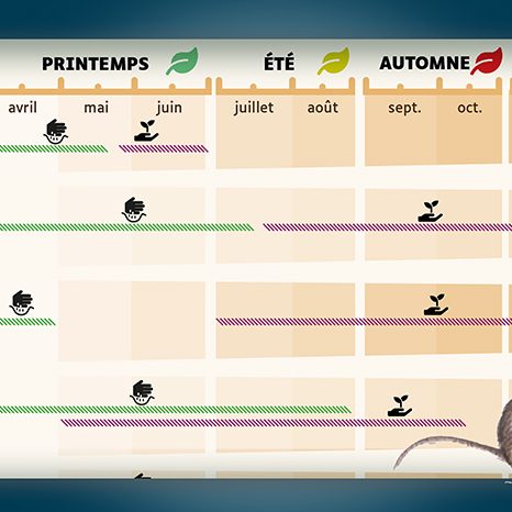 vignette présentant un tableau retravaillé et un petit mulot