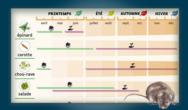 vignette présentant un tableau retravaillé et un petit mulot