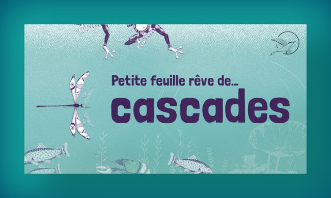 Ouverture Petite feuille rêve de... Cascade