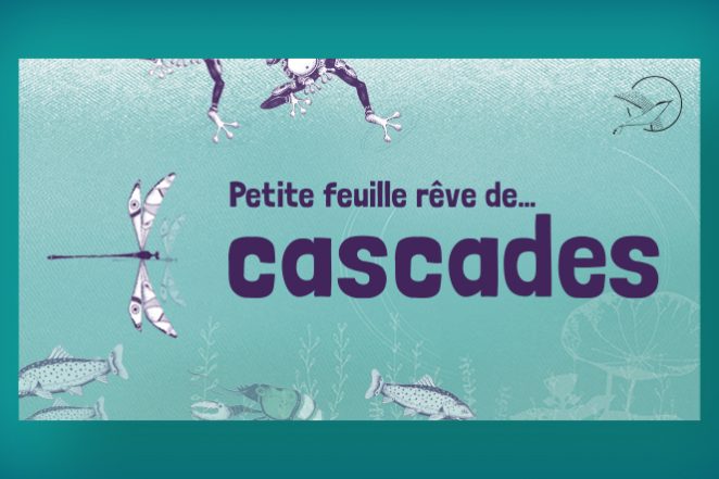 Ouverture Petite feuille rêve de... Cascade