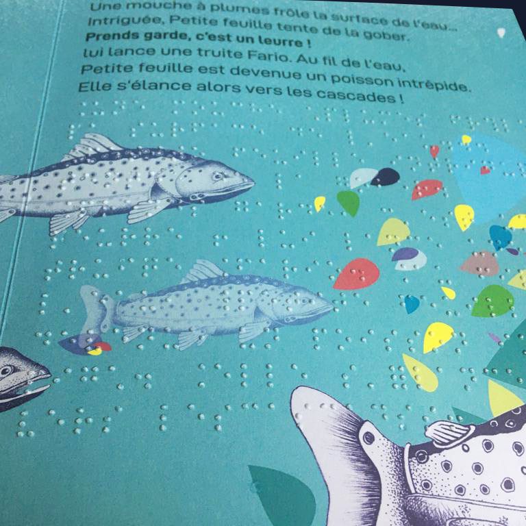 Page en braille de PETITE FEUILLE rêve de cascades