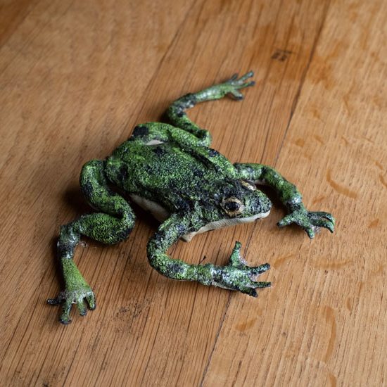 Petite feuille rêve de cascades, marionnette de la grenouille réalisée avec une véritable recherche sur la texture de la peau de la grenouille, la taille et sa manipulation possible par les enfants.