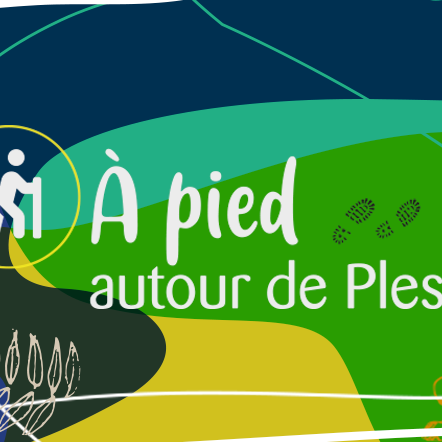 Chemin plestinais de randonnées – chemise - image mise en avant