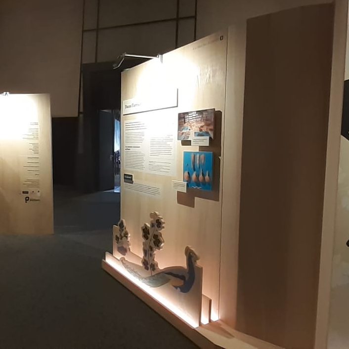 Palais de Potiers – Vue général de l'exposition