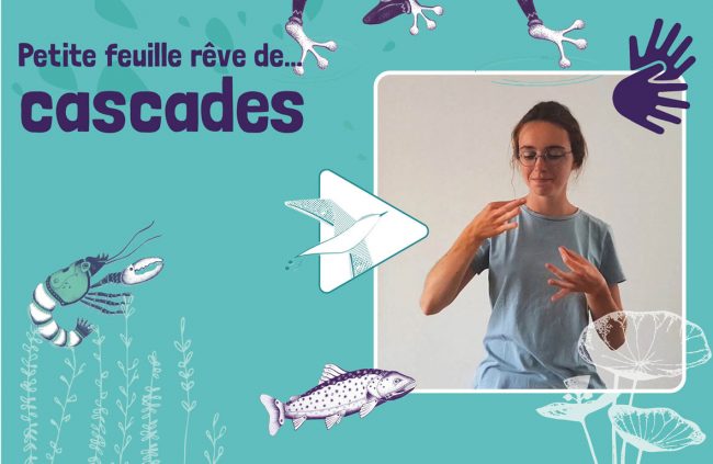 VisuelT2_blog Visuel de petite feuille rêve de cascade en LSF