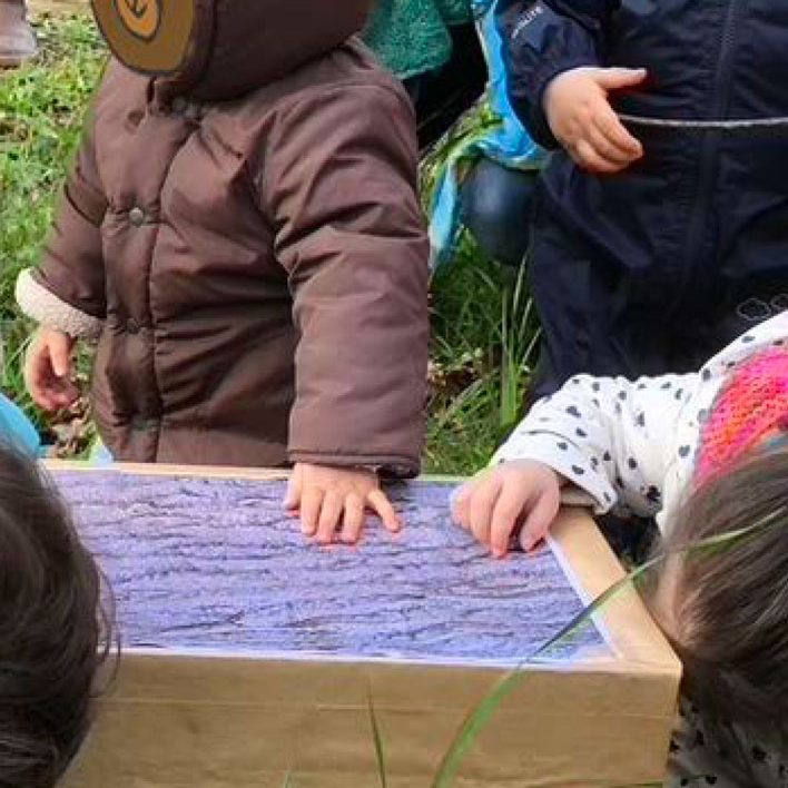 CHASSE A L OURS lecture et randonnée sensorielle la photo montre des enfants fouillant par les trous d'une boite pour découvrir quel environnement va devoir traverser le personnage de l'histoire