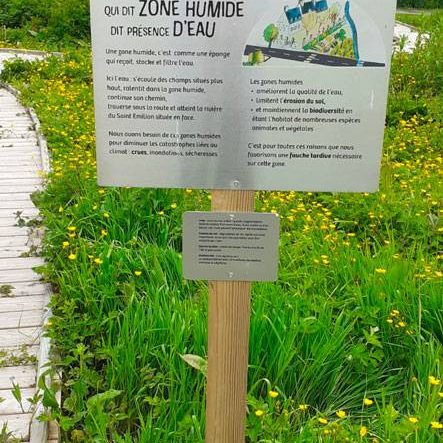 Convergence des loutres, panneau d'éco-interprétation des zones humides - panneau zone humide